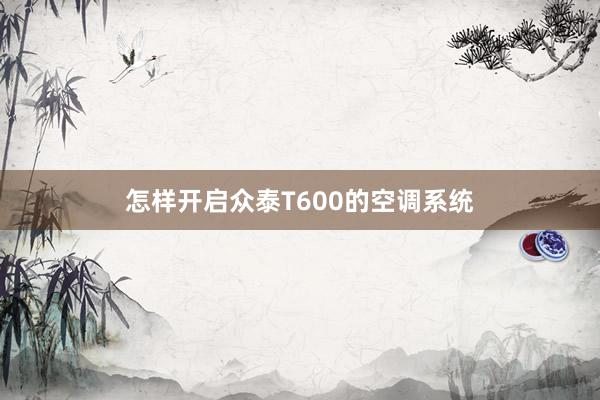 怎样开启众泰T600的空调系统